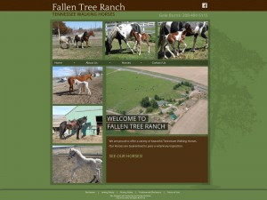 Fallen-Tree_Ranch-comp