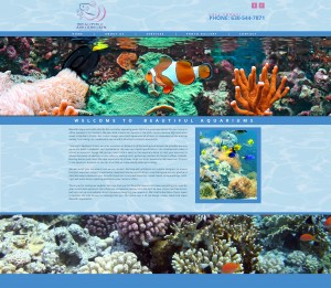 Beautiful Aquariums comp