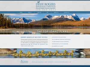 Dixie Rogers Insurance Services