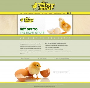 backyard-brooder-box