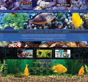 fish-aquarium-
