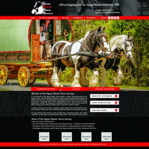 Gypsy Vanners